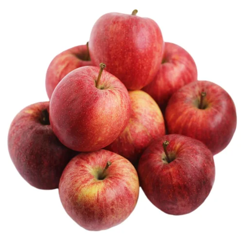 سیب درختی قرمز مراغه درجه یک وزن 1 کیلوگرم