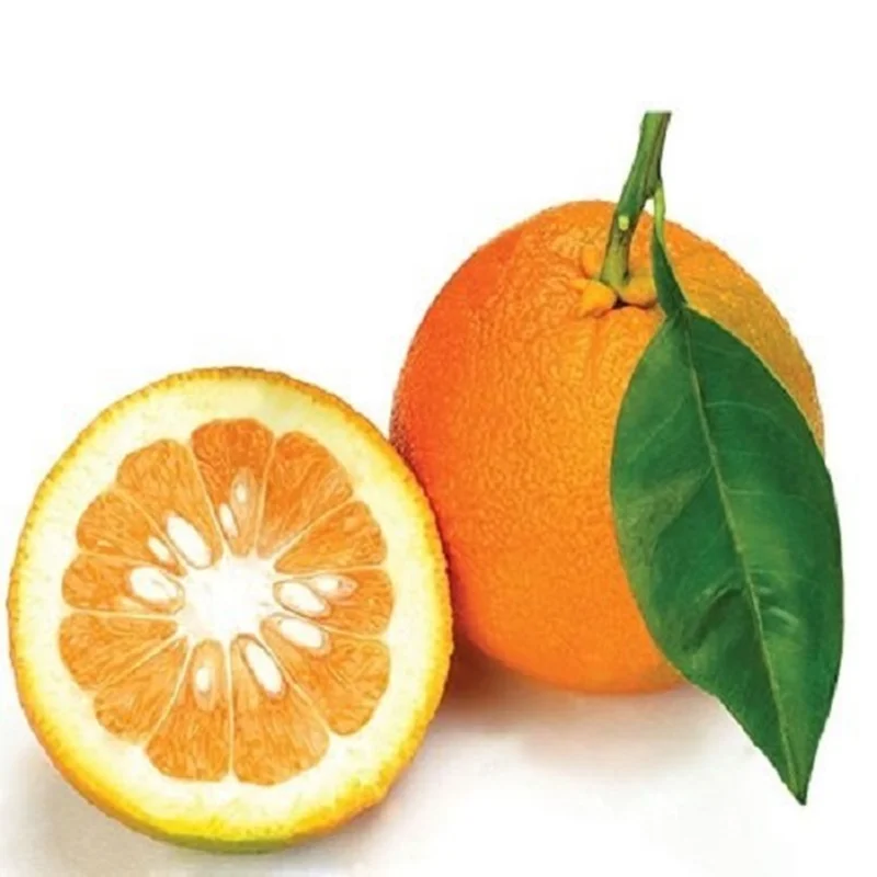 نارنج درجه یک وزن 1 کیلوگرم